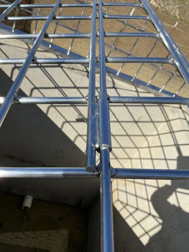 IMG 0008