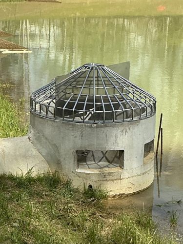 IMG 0048
