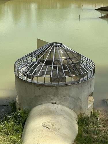 IMG 0050